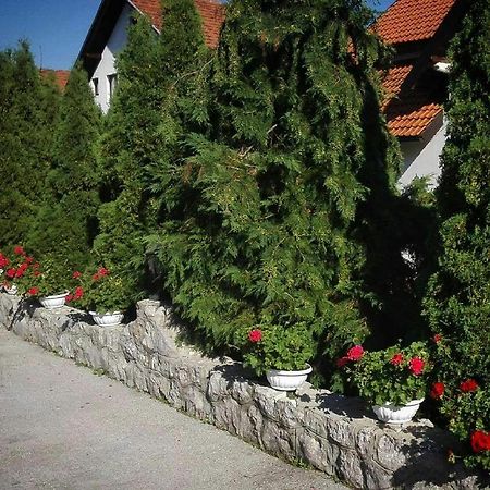 Bozovic Mv Apartments Zlatibor Esterno foto