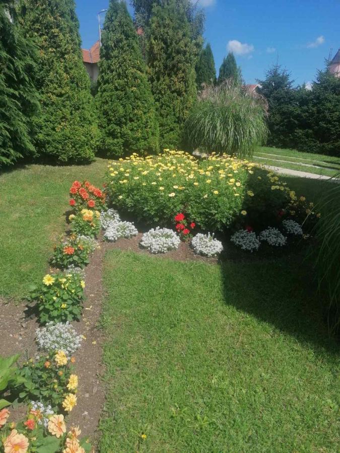 Bozovic Mv Apartments Zlatibor Esterno foto