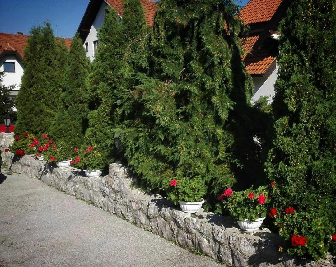 Bozovic Mv Apartments Zlatibor Esterno foto